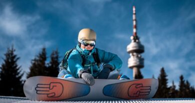 Дейност на местата за настаняване в Смолянска област през януари 2026 година