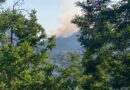 Два пожара в горски територии за ден, пламна и производствен цех