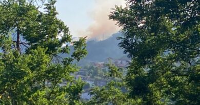 Два пожара в горски територии за ден, пламна и производствен цех