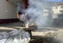 Цената за килограм смилянски фасул достигна рекордните 25 лева, производителите го обясняват със слабата реколта
