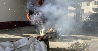 Цената за килограм смилянски фасул достигна рекордните 25 лева, производителите го обясняват със слабата реколта Цената за килограм смилянски фасул достигна рекордните 25 лева, производителите го обясняват със слабата реколта