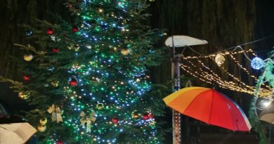 Чепеларе грейна в празнична премяна