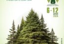 С редица инициативи ЮЦДП ще отбележи Седмицата на гората 2026 – та