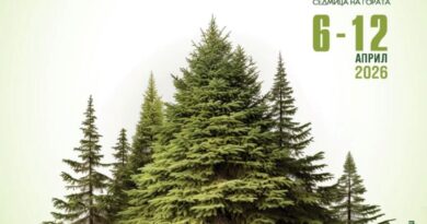 С редица инициативи ЮЦДП ще отбележи Седмицата на гората 2026 – та