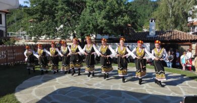 Три дни Златоград живя с фестивала „Цветна плетеница“ Три дни Златоград живя с фестивала „Цветна плетеница“
