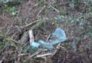 Община Смолян днес е в траур в памет на двете загинали момчета от село Смилян